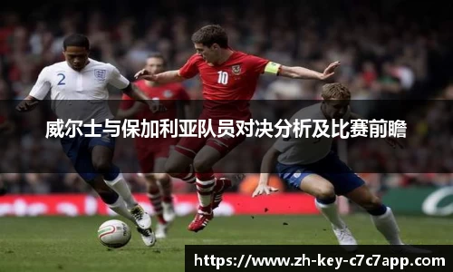 威尔士与保加利亚队员对决分析及比赛前瞻
